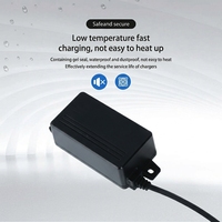 Chargeur personnalisé ignifuge et étanche IP67 pour tondeuse à gazon électrique intelligente, chargeur extérieur automatique et écologique