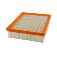 Filtro de Aire para Autopartes para JMC E9P29601AA LX3978 9P29601AA