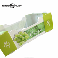Boîte d'emballage pliable en polypropylène ondulé imperméable pour fruits et légumes, pour l'agriculture