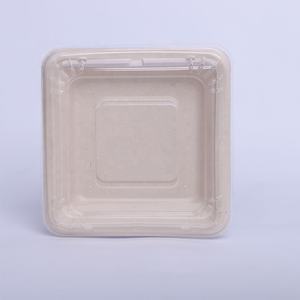 Assiettes jetables écologiques biodégradables en bagasse de canne à sucre, plateaux imperméables pour l'emballage des légumes, de la viande et des voyages - Product Image 2