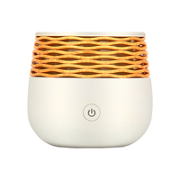 Petit Vase diffuseur d'arôme électrique 2023, plante d'aromathérapie d'intérieur pour animaux de compagnie, eau faciale personnelle, Mini humidificateur d'air en bois