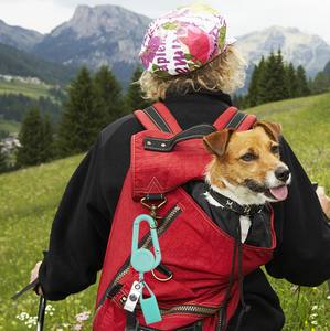 Porte-clés coloré RTS avec briquet, clip de ceinture, boucle d'escalade rétractable, en plastique ABS, créatif, portable, rétractable, porte-badge <span class=keywords><strong>YoYo</strong></span> - Product Image 3