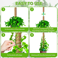 Poteaux de soutien pliables en gros pour plantes grimpantes, bâtons pour plantes et pots de fleurs et jardinières