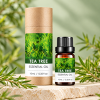Huile Essentielle d'Arbre à Thé pour Aromathérapie, Diffuseur, Massage Facial, Soin de la Peau, 10ml Chacune, OEM ODM, Marque Privée, Logo Personnalisé, Vente en Gros, Carton