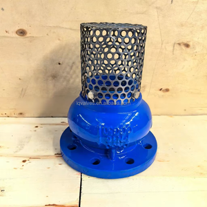 H42x डक्टाइल आयरन फ्लड फुट वाल्व, जर्मन मानक निर्यात-ग्रेड फुट वाल्व; चीन कारखाने में अनुकूलित ओएम फुट वाल्व; - Product Image 3