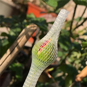 Malla Protectora para Capullos de Rosa Crystal Pack, Red para Envolver y Empacar Capullos de Rosa, Ideal para Floristería/Ramos/Decoración Floral - Product Image 6