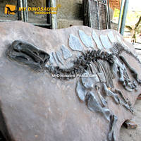 Répliques de fossiles de dinosaures pour site d'excavation