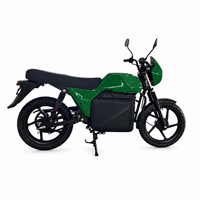 Wholesale Custom 70Km/h High Speed Retro Electric Motorcycle Long Range Battery 2.7 Kw 2 Wheel Adult Electric Motorbike