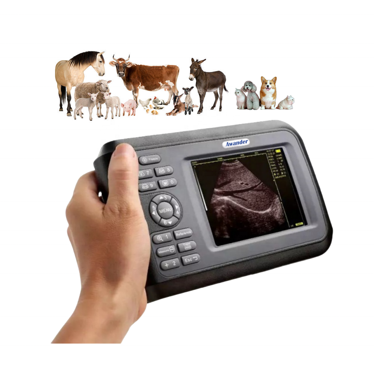 Preço baixo Máquina de ultrassom veterinário portátil portátil para animais de estimação, scanner ultrassom para controle de gravidez bovina, porcos e cabras