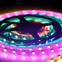 Bande lumineuse LED flexible RGB WS2812B 5050 DC5V, bande lumineuse LED numérique RGB SK6812 LC8812, non étanche
