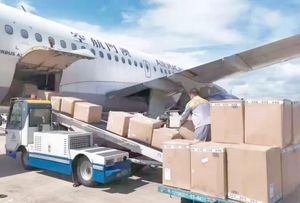 Servicio <span class=keywords><strong>de</strong></span> carga aérea <span class=keywords><strong>de</strong></span> Guangzhou a Entebbe exprés puerta a puerta con despacho <span class=keywords><strong>de</strong></span> aduanas Entrega en 3-5 días laborables - Product Image 5