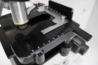 Low Price Medical Laboratory Teaching Multi-purpose Halogen Lamp Illumination Abbe 1.25 NA Condenser Mechanical Stage Microscope