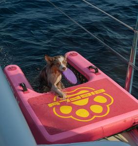 Chine Fabrication personnalisable chien rampe piscine gonflable chien rampe pour animaux de compagnie Sports nautiques gonflable bateau chien piscine rampe - Product Image 1