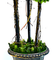 Décoration extérieure intérieure populaire cyprès artificiel pin bonsaï pot de plante sphérique pour jardin maison