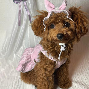 2025 <strong>Graceful</strong> Dress for <strong>Pet</strong> cat Princess Jacquard Skirt+hat - Product Image 2