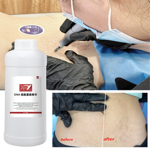 Kit de <span class=keywords><strong>camouflage</strong></span> des vergetures PDRN Lines DNA Regeneration pour microblading, destiné aux académies - Product Image 1