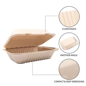 Eco amigável bento papel polpa biodegradável bagaço bento caixa descartável takeaway