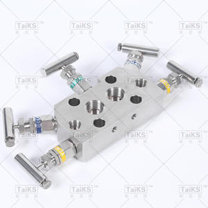 Collecteur à cinq vannes en acier inoxydable 304 avec filetages internes et externes pour instruments de mesure de pression - Product Image 1