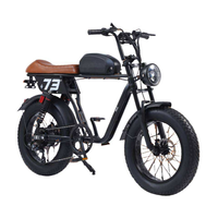 Vélo électrique tout-terrain à pneus larges 48V 750/1000W Moteur sans balais Cadre en alliage d'aluminium |   Moto électrique de banlieue Mountain City |