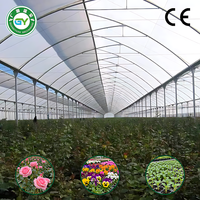 Serre Commerciale Multi-Span en Film, Ensemble Complet avec Système Hydroponique pour Fleurs et Jeunes Pousses