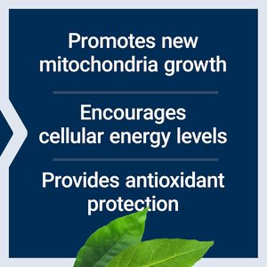 Cápsulas de PQQ con Fórmula de Marca Propia, Pirroloquinolina Quinona 10 mg, Promueve el Crecimiento de Nuevas Mitócondrias, ATP y Apoyo Energético - Product Image 3