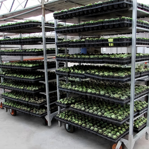 Carrello Portafiori Olandese CC con Telaio in Acciaio e Ripiano in Compensato - Product Image 1