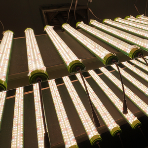 หลอดไฟปลูกต้นไม้ในร่มแบบปรับแต่งได้ LED T6 T8 สเปกตรัมเต็มรูปแบบ ปรับความสว่างได้ สำหรับปลูกผัก ดอกไม้ และสมุนไพร - Product Image 1