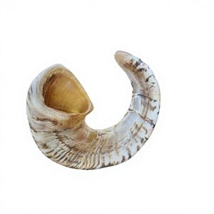 Shofar de Cuerno de Carnero, Instrumento Musical Judío, Material Orgánico, Acabado Arenado, Tamaño Personalizado, Transpirable, Forma Ovalada - Product Image 1