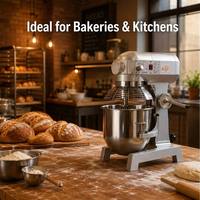 Commerciële spiraaldeegmixer 10L, zware deegmixer, 500W professionele standmixer voor bakkerijen