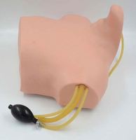 Modèle de formation à la ponction veineuse centrale guidée par ultrasons KyrenMed pour la ponction veineuse jugulaire interne et la ponction veineuse sous-clavière