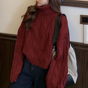 Women's High Neck Sweater Solid Color Knit Pullover Autumn Winter Casual Top Medium Thickness Gray Red Beige Caramel - Product Image 3