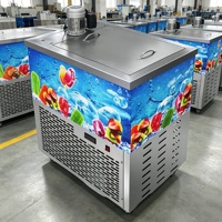 IJslollyvormmachine van roestvrij staal, 220V/110V, ijsvormapparaat