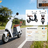 Scooter électrique à pneus larges de 10 pouces, 48V, 2 places, autonomie de 75 km, vitesse de 45 km/h, acier carbone, avec USB