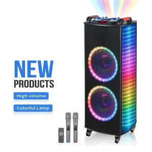 NDR-1010S高品质双10英寸低音扬声器原装大音箱60w家庭影院系统卡拉ok音乐bafle扬声器