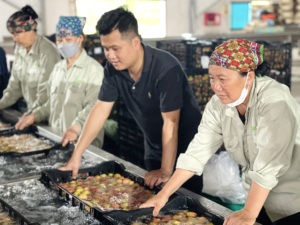 Lichi orgánico, productos frescos y dulces, exportación global certificada con protocolos de seguridad alimentaria - Product Image 6