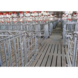 Caisses de gestation porcine personnalisées en vente chaude Cage de maternité pour truies porcines avec mangeoire Équipement de ferme porcine galvanisé - Product Image 6