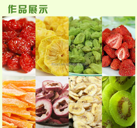 Kwaliteit Automatische Fruitdroogmachine