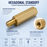 Entretoises hexagonales métriques en laiton à trou aveugle pour cartes mères PCB, fixations industrielles OEM