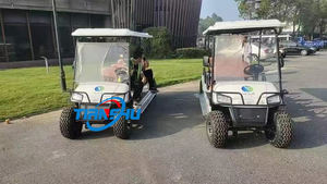Véhicule tout-terrain à arbre 48/60/72V <span class=keywords><strong>4000W</strong></span> <span class=keywords><strong>Quad</strong></span> Bike Chariot de golf électrique - Product Image 3