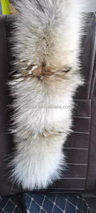 Cuello de Piel de <span class=keywords><strong>Coyote</strong></span> - Product Image 4