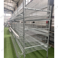 Cage à poulets de type H pour l'élevage de poules pondeuses, cages automatiques pour l'agriculture avicole, cages à batterie pour poulets, poulailler galvanisé, cage à poulets en vente