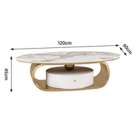Ensemble de table basse ovale en pierre de roche de style italien moderne pour salon 2024