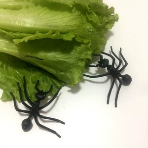 Grandes fourmis en plastique noir pour enfants Fourmi réaliste pour décorations de fête ou blagues pratiques Jouets de fête d'Halloween pour enfants - Product Image 5