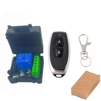 Interruptor Inalámbrico de un Solo Canal de Voltaje Amplio 5-24V para Motor de Puerta, Control de Iluminación LED para Hogar Inteligente con Retardo de Tiempo