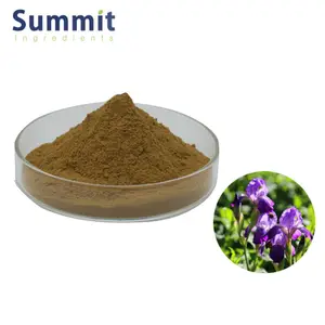 Hote Sale 10:1 Oregano Extract Powder Oregano Leaf Extract Origanum Vulgare Extract