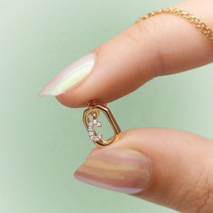 สร้อยคอแฟชั่น ZYO Custom Jewelry สร้อยสแตนเลสสตีลประดับตัวอักษรภาษาอังกฤษประดับเพชร CZ สำหรับผู้หญิง พร้อมจี้รูปตัวอักษรนำโชค - Product Image 4
