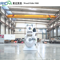 RICHI-máquina de fabricación de Pellet de madera, serrín, carbón, polvo, 6/8/10/12mm, gran oferta
