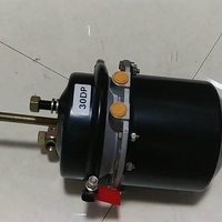 Ensemble de chambre de frein à ressort pneumatique 9253211600 T24/24DP T3030 T1624 T2024 pour système de freinage d'essieu de camion lourd et remorque MB 24V
