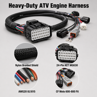 Solvet Maßgefertigter ATV Quad Kabelbaum TE AMP Superseal 12-Pin AWG22 FLRY-B Nylon-Ummantelung Wasserdicht für TRX Foreman