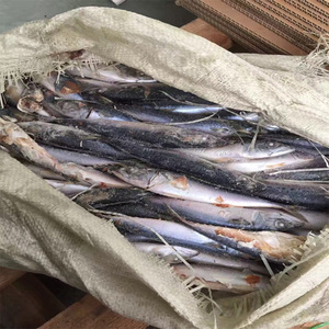 Nueva roster stock frozen Pacific style Mackrel - Product Image 1